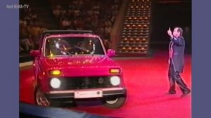 Нива Ландоле для медведей из цирка на Цветном бульваре.