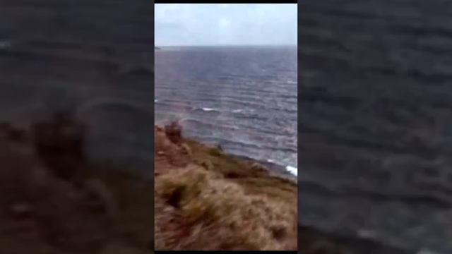 ТОП Фильмов в мире #кино #топ250 #лучшийфильм смотреть онлайн