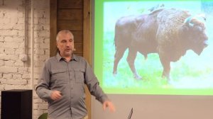 Где увидеть зубра в дикой природе