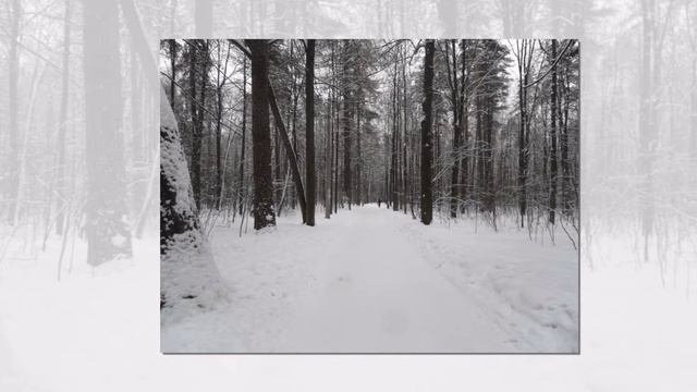 Авилов Алексей  - В землянке...