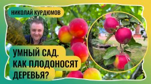 УМНЫЙ САД.  НА ЧЁМ И КАК ПЛОДОНОСЯТ ДЕРЕВЬЯ?