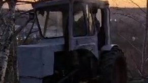 т 25