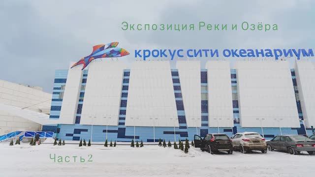 Океанариум Крокус Сити 6