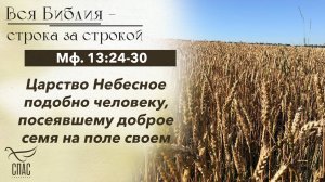 ЕВАНГЕЛИЕ: МФ. 13:24-30