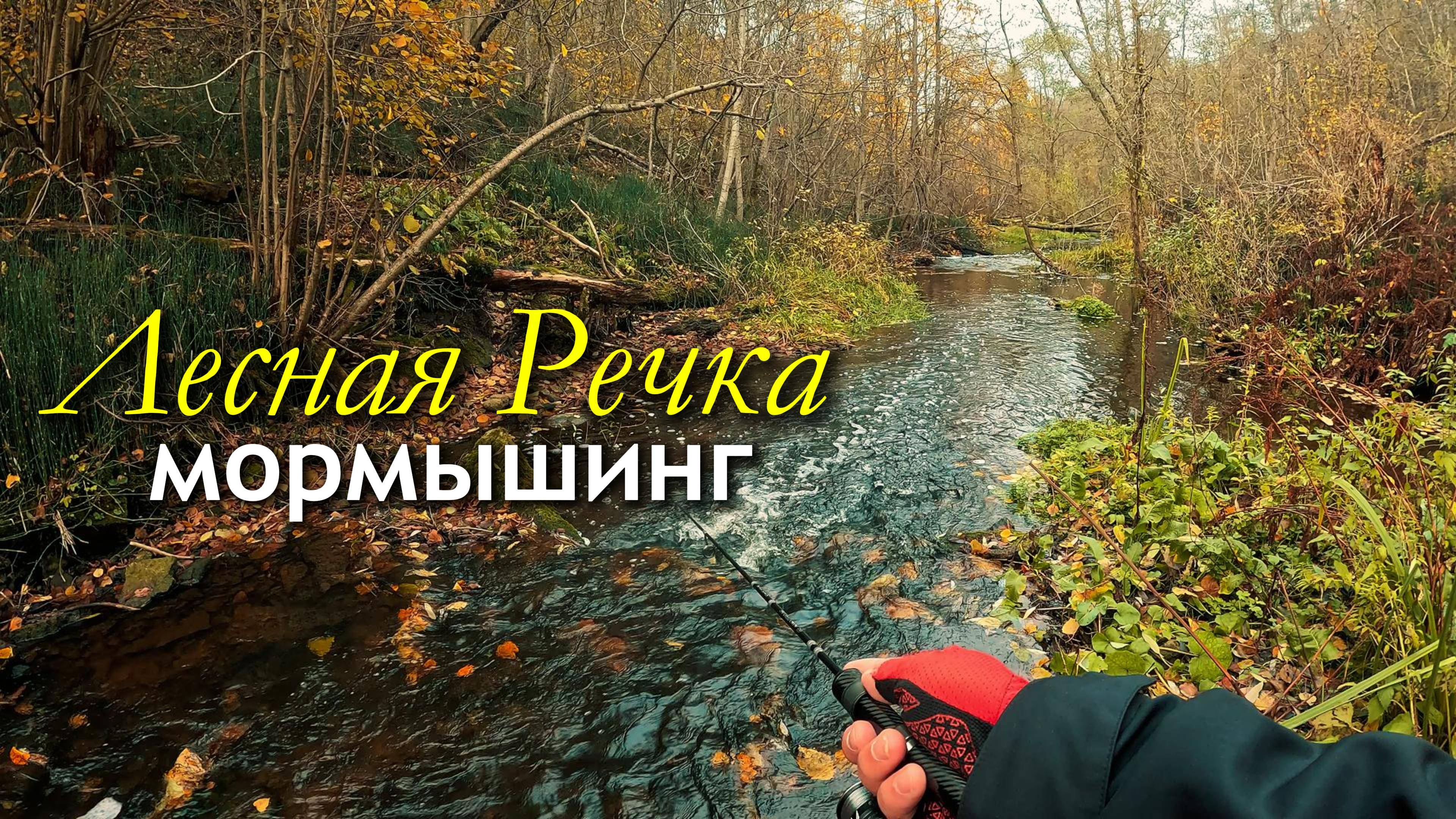 ОХОТА на РЕДКУЮ РЫБУ: рыбалка на Живописной лесной речке #мормышинг #nanojig #рыбалка #fishing