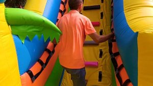 Коммерческий надувной батут с горкой «Приключение в мире животных 2», 8x4x5 м