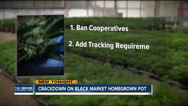 Crackdown on black market homegrown pot смотреть онлайн