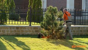 Газонокосилка бензиновая Daewoo DLM 5100SR Обзор [Daewoo Power Products Russia]