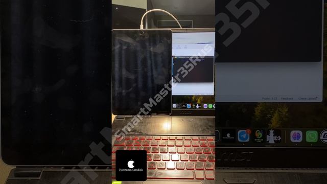 Разблокировка и Обход iCloud блокировки на iPad (5th generation) 32GB Space Gray