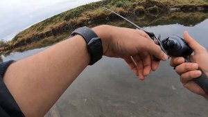 Will my $26 Fishing reel hold up against salmon | Soloking FlyPlum R2 baitcaster review