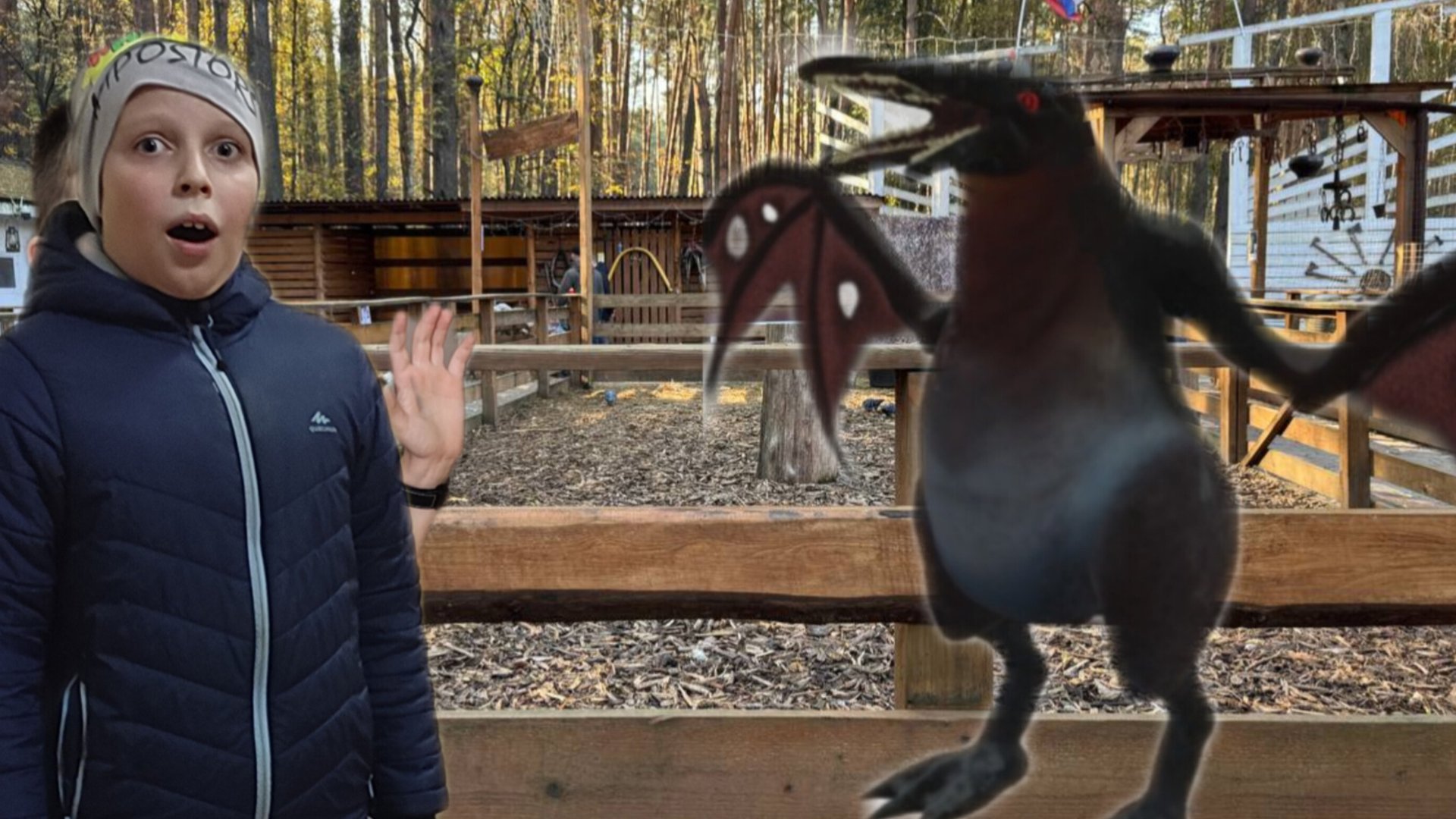 Что с зверем? ЗООЧОСИС  Zoochosis