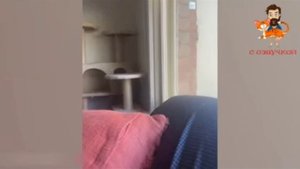 🤣🤣🤣🤣🤣🤣🤣🤣