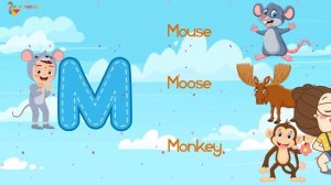 Cute Animal Alphabet A to Z | Three Animals for Each Letter of the Alphabet |  Learn ABC