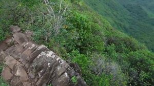 Dangerous Wedding on Mt. Peak