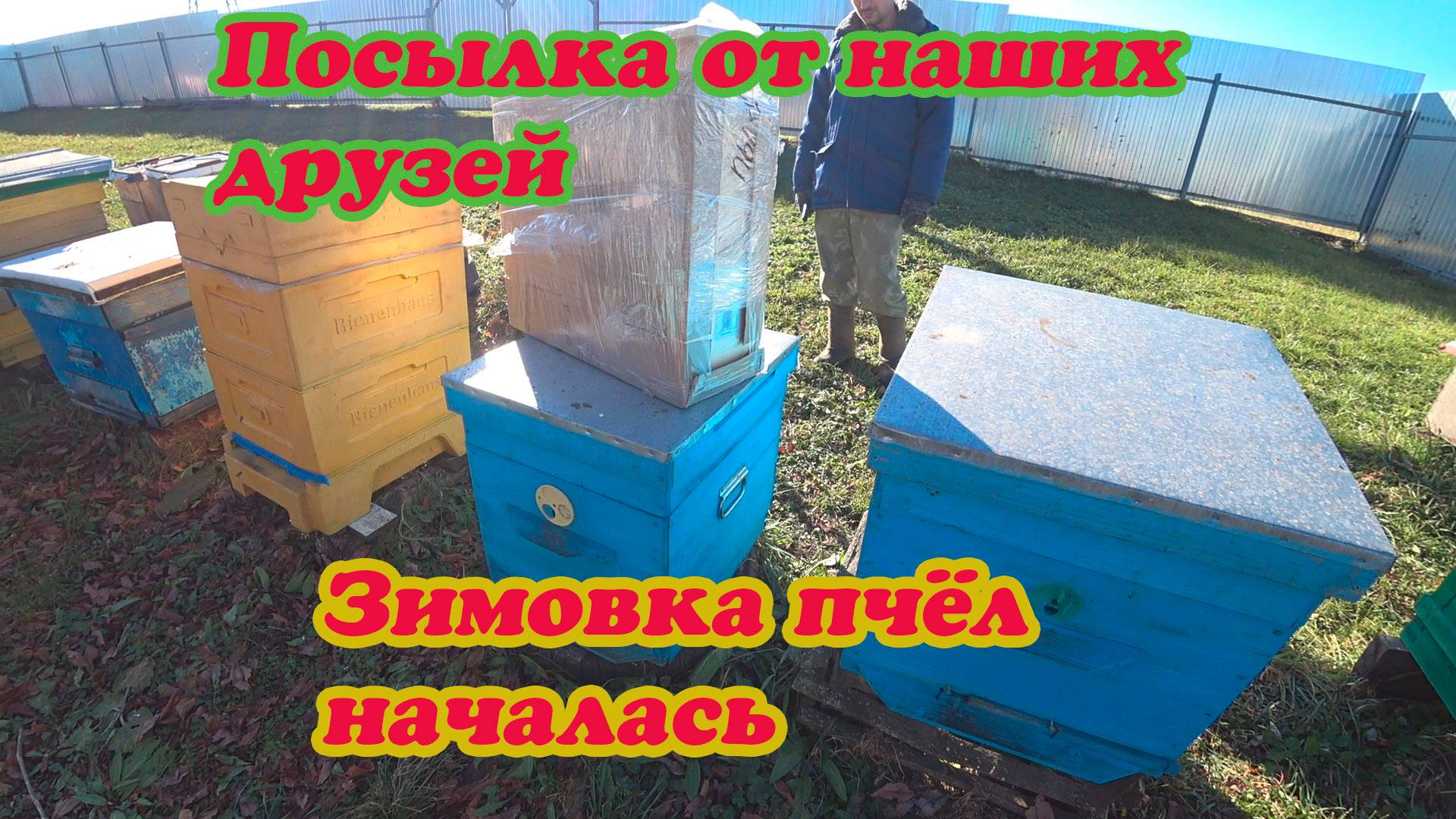 ЗИМОВКА ПЧЁЛ, ПОЛУЧИЛИ ПОСЫЛКУ СМОТРОВОЙ УЛЕЙ (УЛЕЙСИБИРИ) И ЗАНЯЛИСЬ СТОЛЯРНЫМИ РАБОТАМИ.
