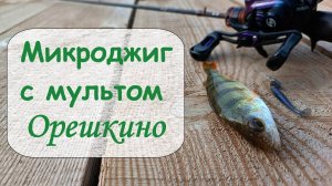 Микроджиг с мультом. Орешкино