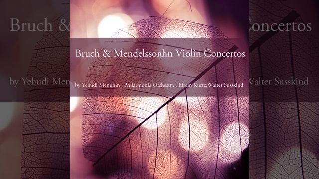 Violin Concerto in E Minor, Op. 64, MWV O14: II. Andante смотреть онлайн