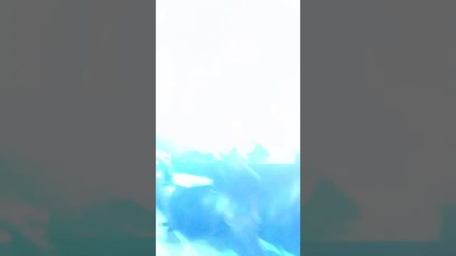 Mac Miller-Fuck Em' All (Live at EMU) смотреть онлайн