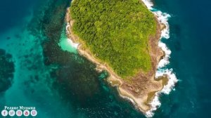 "ДОРОГА В НЕБЕСА" Эту музыку можно слушать вечно! Я плакала, когда услышала эту песню #музыка2024