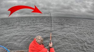 ВОТ ЭТО ПОКЛЕВИЩЕ! Интересно знать что там? Порем окуня на убийственном баркасе. Рыбалка 2023