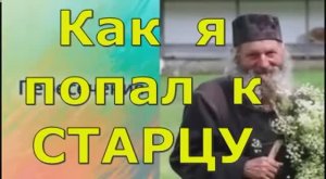 Новый проект9931