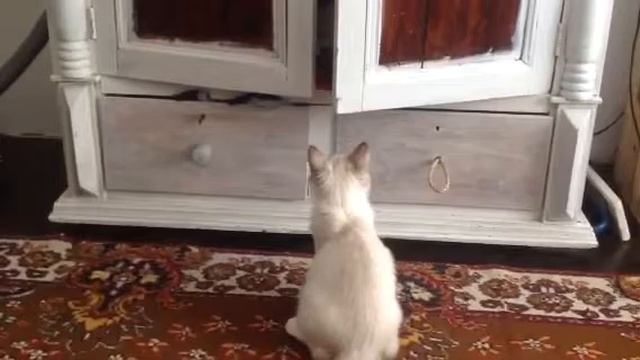 Marselle смотреть онлайн