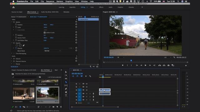 Learn Premiere Pro in 15 Minutes | Tutorial for Beginners