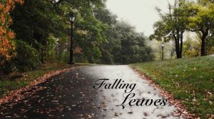 "Falling Leaves" Acoustic Original Song