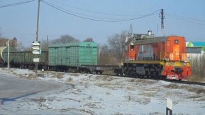 Тепловоз ТЭМ18ДМ-1286 с небольшим сборным грузовым составом