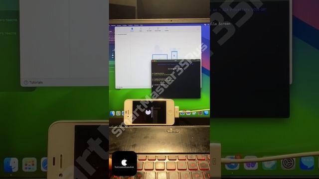 Разблокировка и обход iCloud блокировки без SIM на iPhone 4 8GB White