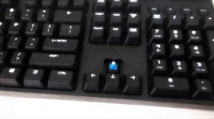 Logitech G610 Cherry MX Blue - Mechanical Keyboard Sounds [ASMR]