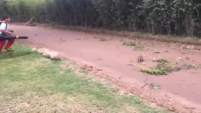 Br 800 Stihl soprador смотреть онлайн