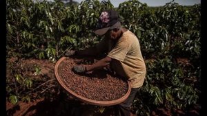 ГОНДУРАС!!!САМАЯ ПРЕСТУПНАЯ СТРАНА!ОТКУДА ТАКОЕ НАЗВАНИЕ?