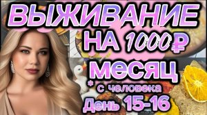 ВЫЖИВАЕМ НА 1000 РУБЛЕЙ МЕСЯЦ с человека, день 15-16.Экономные рецепты. Дешевая еда.