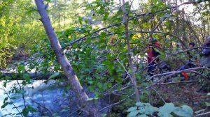 1 Серия Поход Путорана 6-8 июля 2024