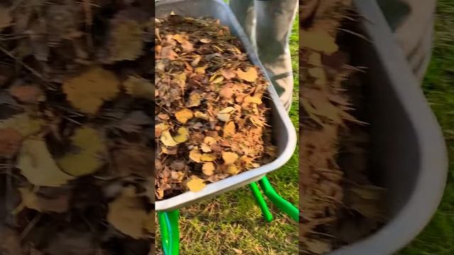 Газонокосилка для уборки листвы. Уход за участком продолжается. смотреть онлайн