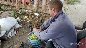 Оранжевое вино | Новый тренд | Новый опыт