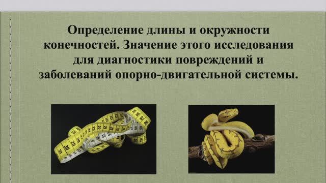 3. Определение длины и окружности конечностей