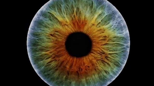 Тайна Души / The Mystery of Soul (The Flashbulb "California Dreaming") смотреть онлайн