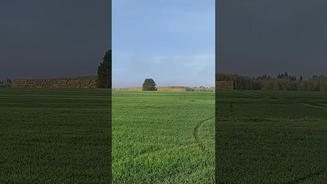 Без конца, без края.... Просторы родного края!