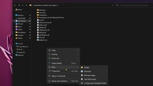 duckstation portable mode (all files in the same folder)