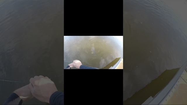 САЗАН НА ТРОЛЛИНГ🐠 смотреть онлайн