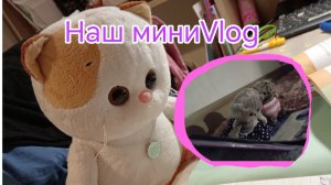 Наш мини влог