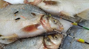 Подлещик на ЧЁРТИКИ. Клёвая лунка.