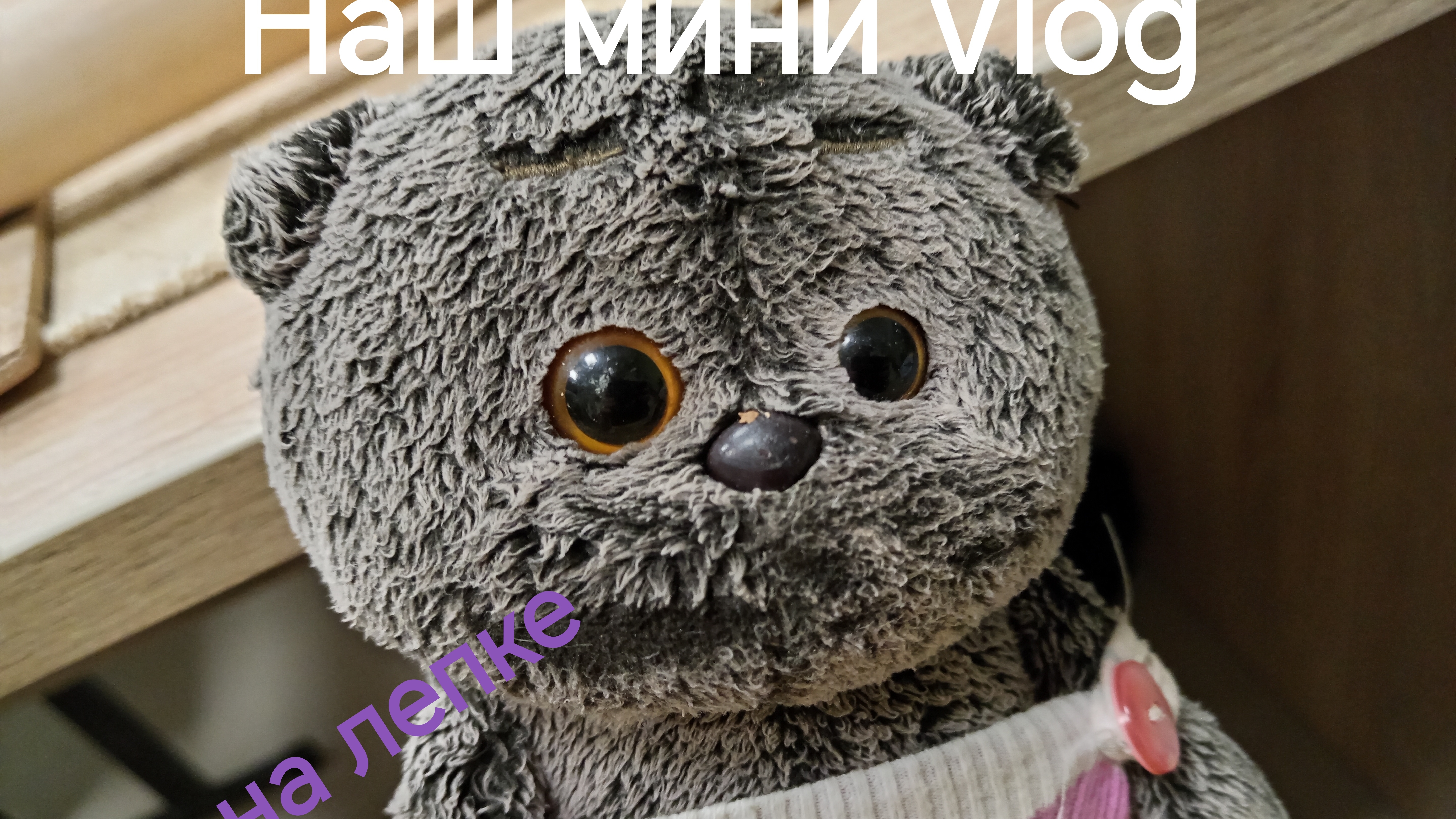 Наш мини влог смотреть онлайн