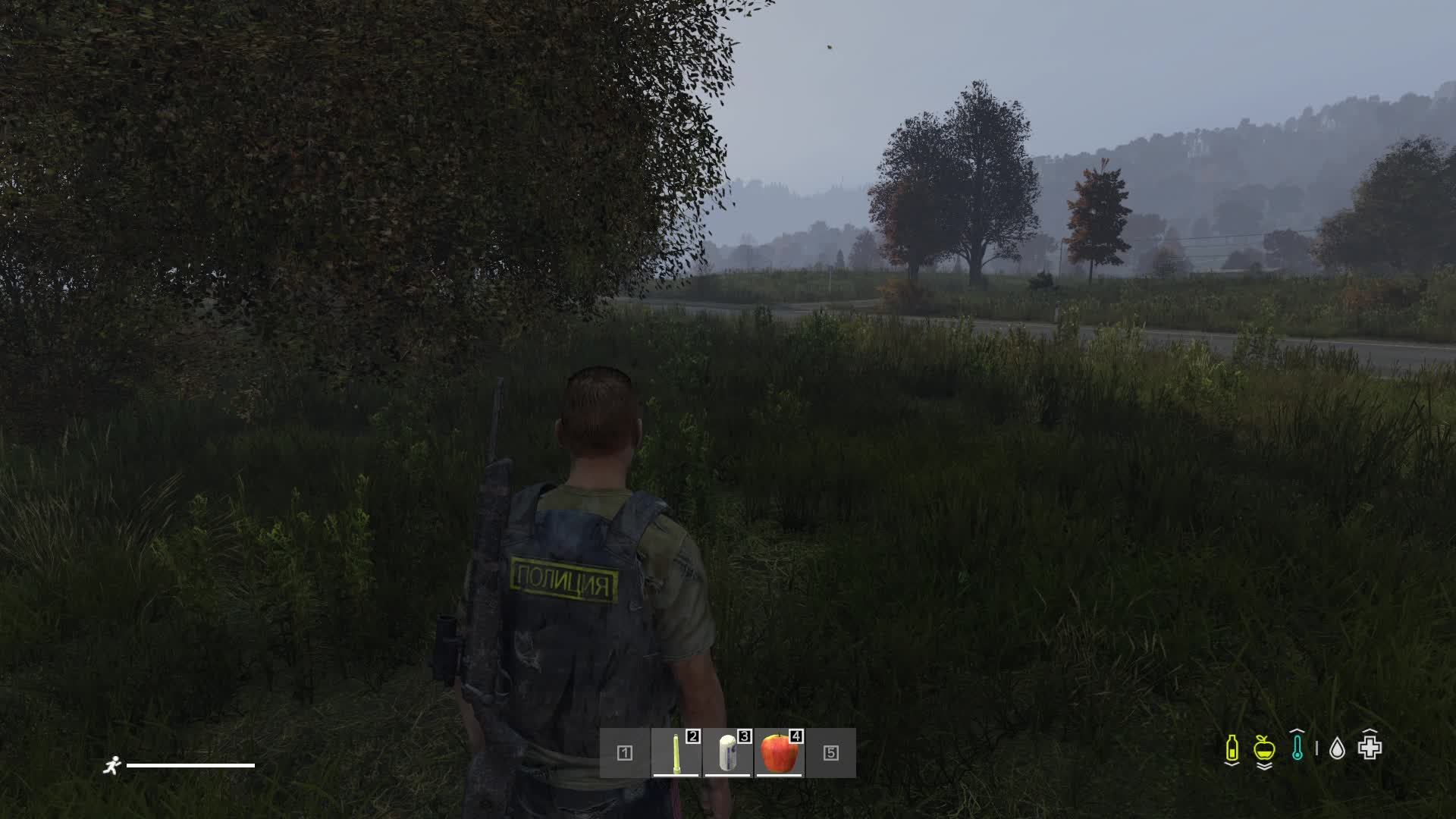 Dayz выживание по фану