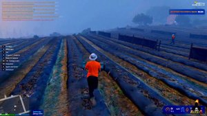 ФЕРМА ГТА 5 РП (GTA 5 RP ECLIPSE) 5 УРОВЕНЬ ФЕРМЫ | КАК ЗАРАБОТОТАТЬ НА ФЕРМЕ ГТА 5 РП ГАЙД ПО ФЕРМЕ