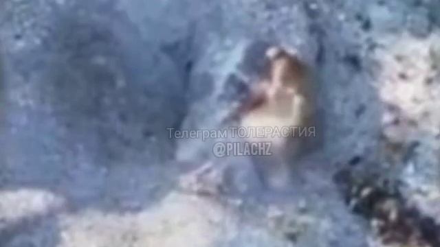Учимся забрасывать мины в норы