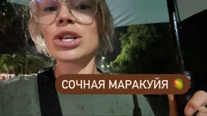 Как правильно выбрать сочную маракуйю? 🥭Вечерняя прогулка ☔ Промокли до трусиков