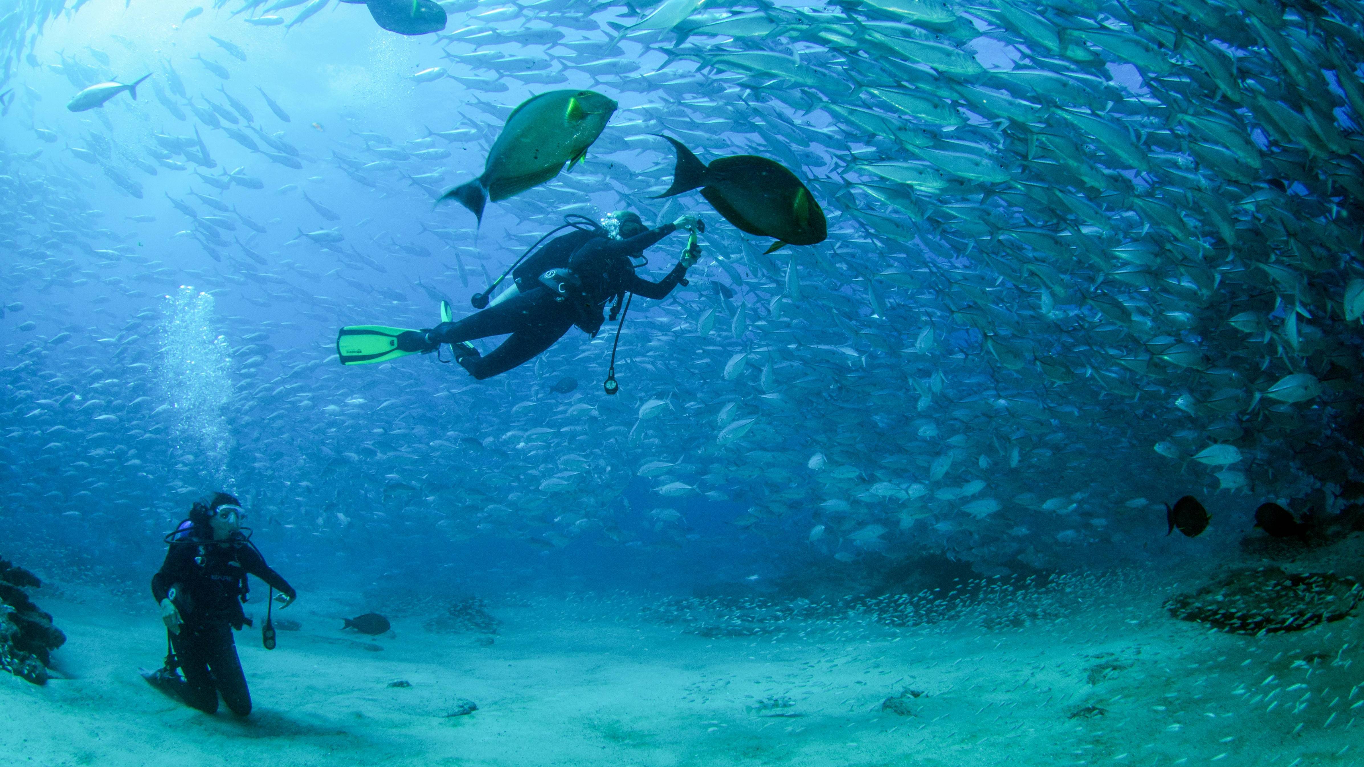 «Подводный мир Дж. Берда» Джонатан отправляется на Багамы чтобы научиться пещерному дайвингу смотреть онлайн